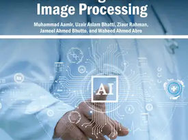 Wavelet-Autoencoder Hybrid Model for Enhanced Image Denoising in Medical Imaging