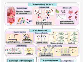 Advancing Drug–Drug Interaction Prediction with Biomimetic Improvements