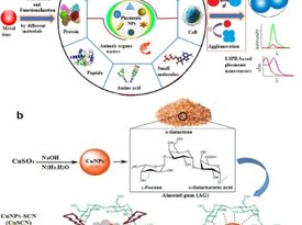 Current contributions of novel nanoparticles-based colorimetric sensors for detection of SCN ions in different aqueous models. A review