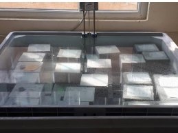 Statistical and AI/ML Evaluation of Coarse Aggregate Size Effects on  Compressive Strength of High-Performance Concrete